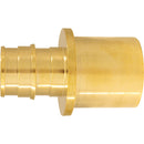 Apollo Retail 3/4 In. x 1 In. Brass Insert Fitting MSWT PEX-A Adapter