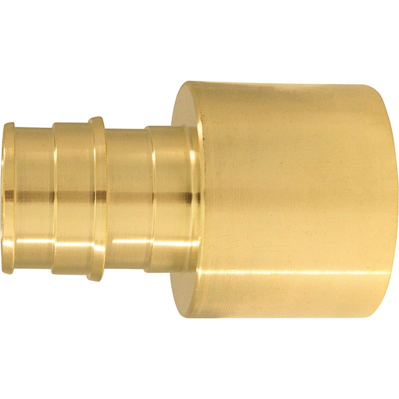 Apollo Retail 3/4 In. x 1 In. Brass Insert Fitting FSWT PEX-A Adapter