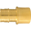 Apollo Retail 1 In. x 1 In. Brass Insert Fitting FSWT PEX-A Adapter