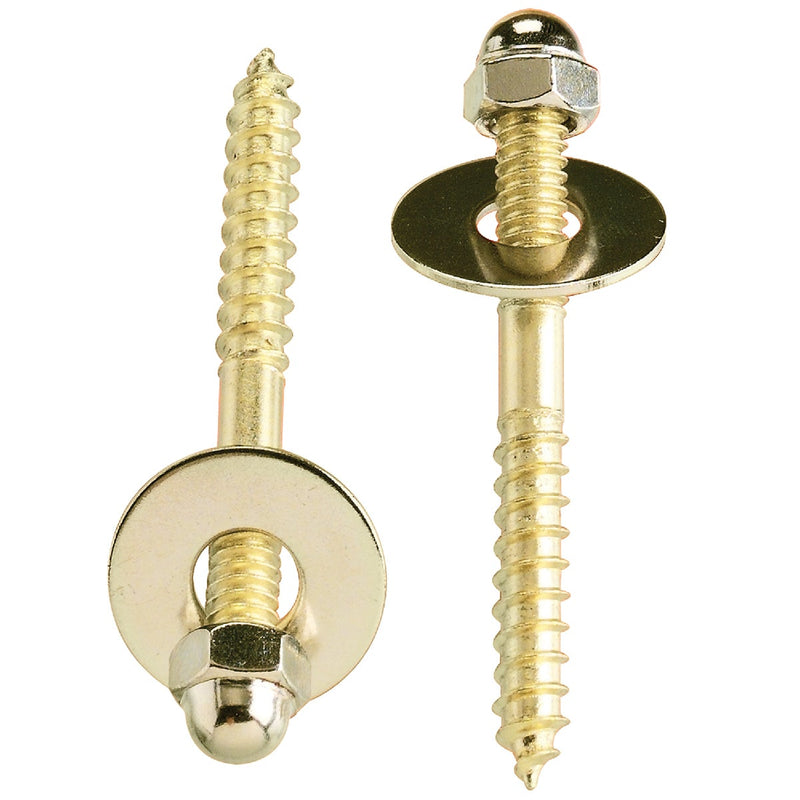Do it Best 2-1/2 In. x 1/4 In. Brass-Plated Steel Toilet Screws (2 Ct.)