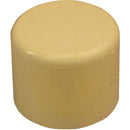 Genova 3/4 In. CPVC Cap