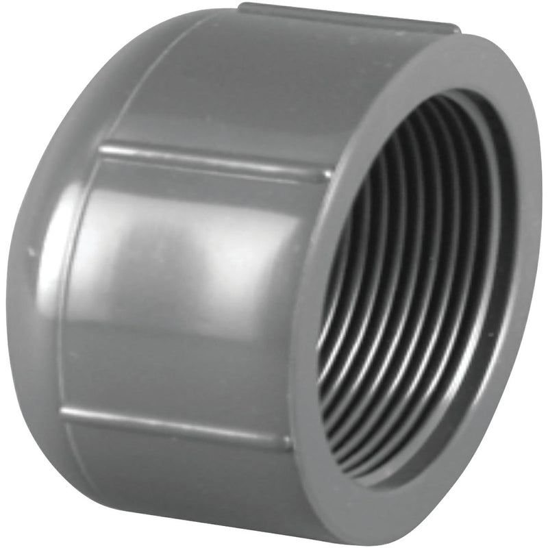 Charlotte Pipe 1/2 In. FIP Schedule 80 Threaded PVC Cap