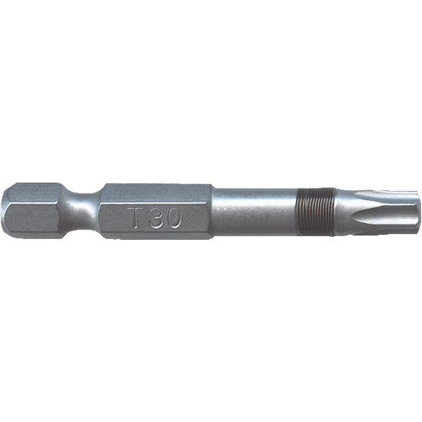 Big Timber T30 x 2 In. Torx Bit (2-Piece)