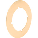 Defender Security Polished Brass Cover Plate