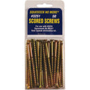 Counter-Snap Squeek No More Replacement Screw Repair Kit (50-Count)