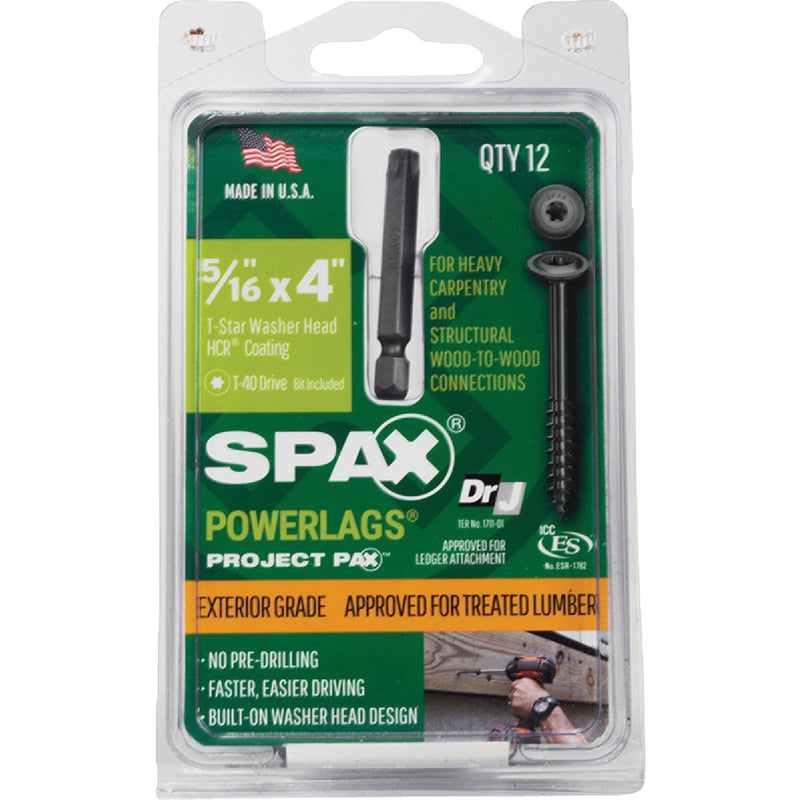 Spax PowerLags 5/16 In. x 4 In. Washer Head Exterior Structure Screw (12 Ct.)