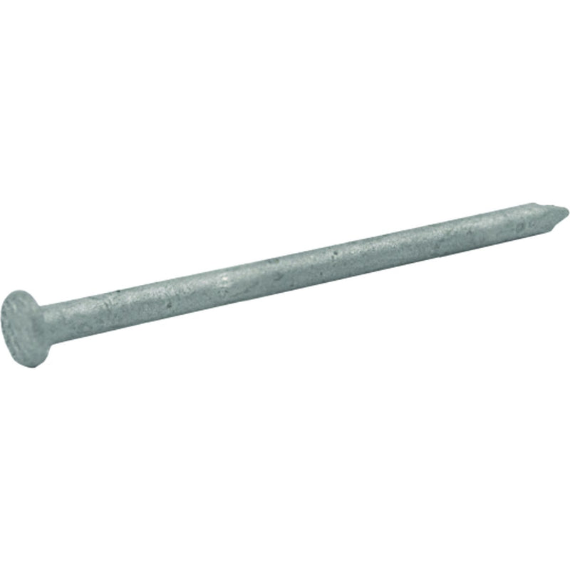 Grip-Rite 8d x 2-1/2 In. Hot Dipped Galvanized Common Nails (900 Ct., 10 Lb.)