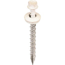 Acorn International 2 In. Washered White Metal To Wood Screw (250 Ct.)