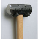 Heavy-Duty Screw-In Tool Storage Hanger Hook