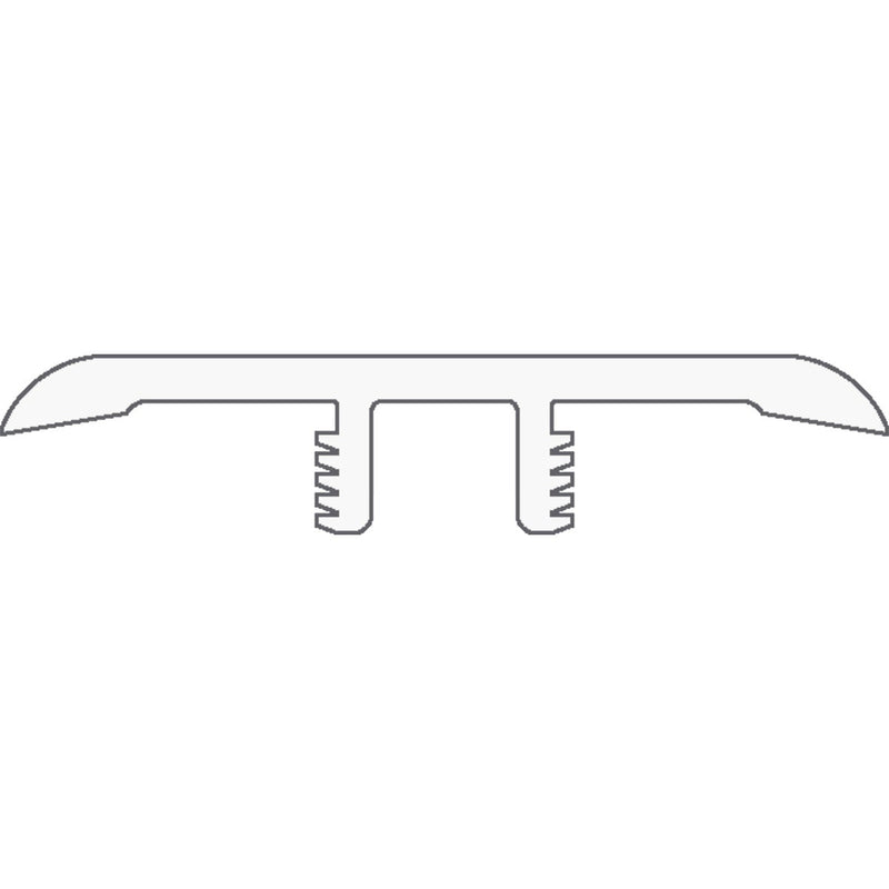 Shaw Coretec One Plus T-Mold Salton Chestnut