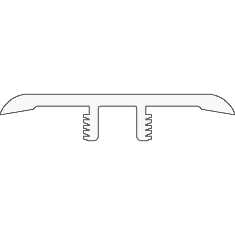 Shaw Coretec One Plus T-Mold Salton Chestnut