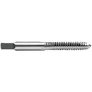 Century Drill & Tool 1/4-28 Carbon Steel National Fine Tap-Plug
