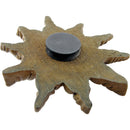 Master Magnetics 3/4 in. Ceramic Magnetic Discs (8-Pack)