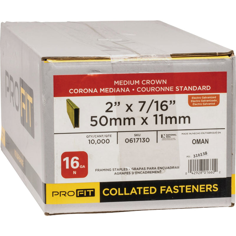 Pro-Fit 7/16 In. x 2 In. 16 Gauge Electro Galvanized N-Style Standard Crown Staple (10,000 Ct.)