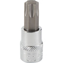 Channellock 3/8 In. Drive T55 6-Point Torx Bit Socket