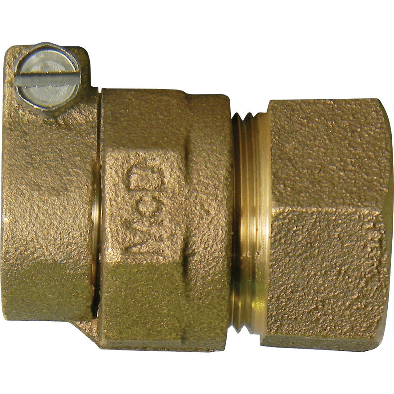 Anderson Metals 3/4 In. CTS x 3/4 In. FIPT Brass Low Lead Connector