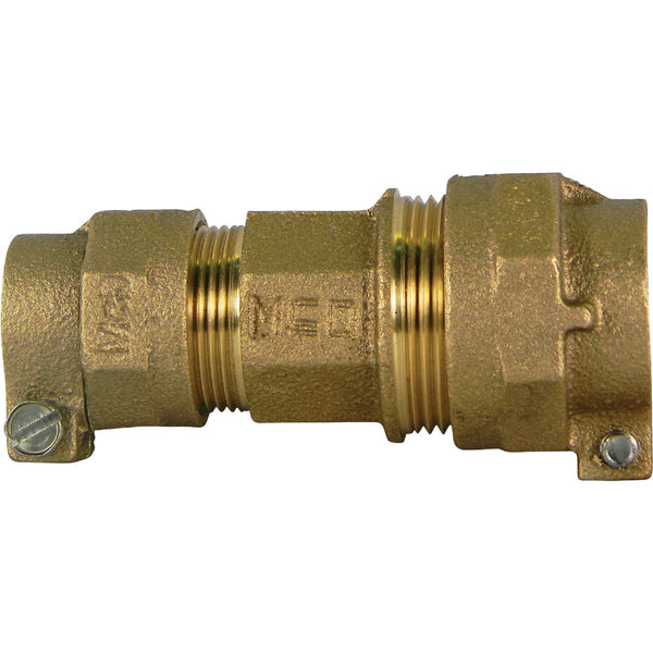 Anderson Metals 1 In. CTS x 1 In. CTS Brass Low Lead Connector