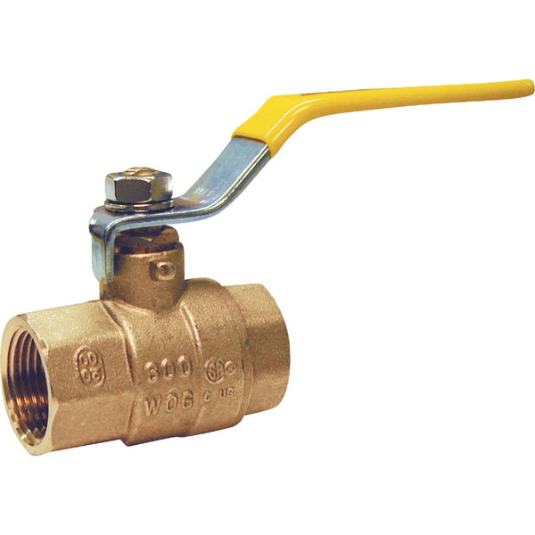 ProLine 2 In. FIP x 2 In. FIP Brass Ball Valve