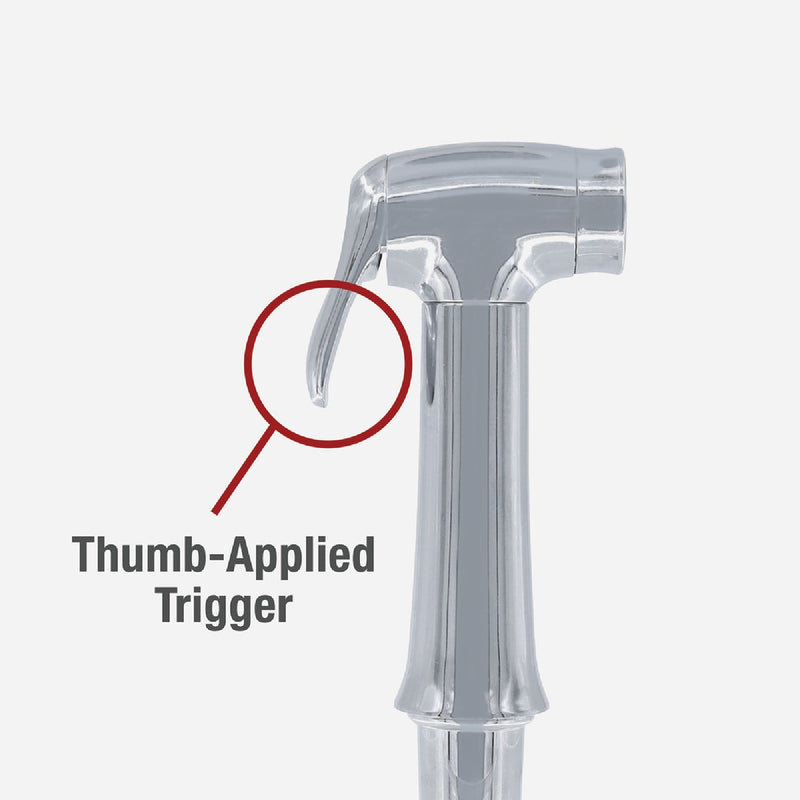 Danco Transitional Chrome Sprayer Head