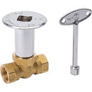 ProLine Straight Pattern 158,000 BTU Brass/Chrome Plated Log Lighter Gas Valve
