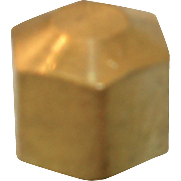 Lasco 1/4 In. Brass Compression Cap