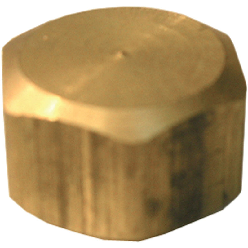 Lasco 5/8 In. Brass Compression Cap