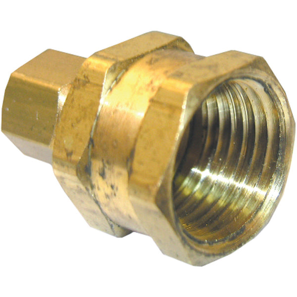 Lasco 5/16 In. C x 3/8 In. FPT Brass Compression Adapter