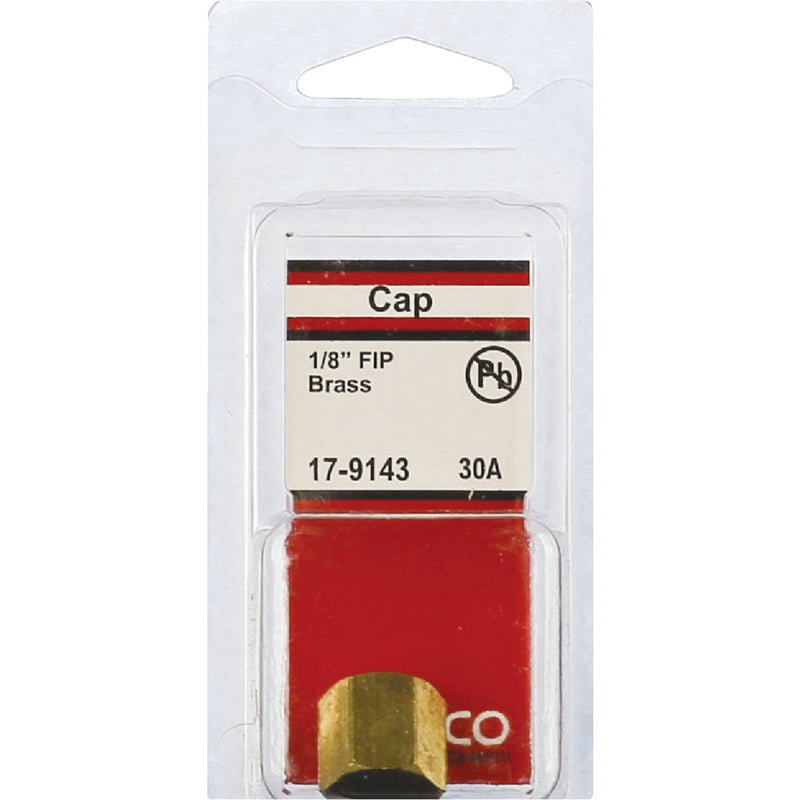 Lasco 1/8 In. Red Brass Threaded Pipe Cap