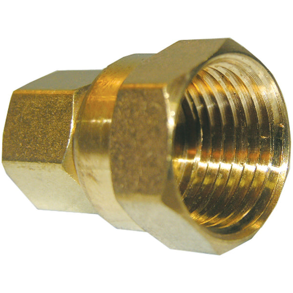 Lasco 3/8 In. C x 1/2 In. FPT Brass Compression Adapter