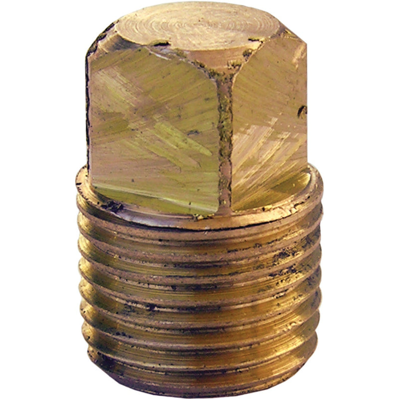 Lasco 1/8 In. MPT Brass Square Head Plug