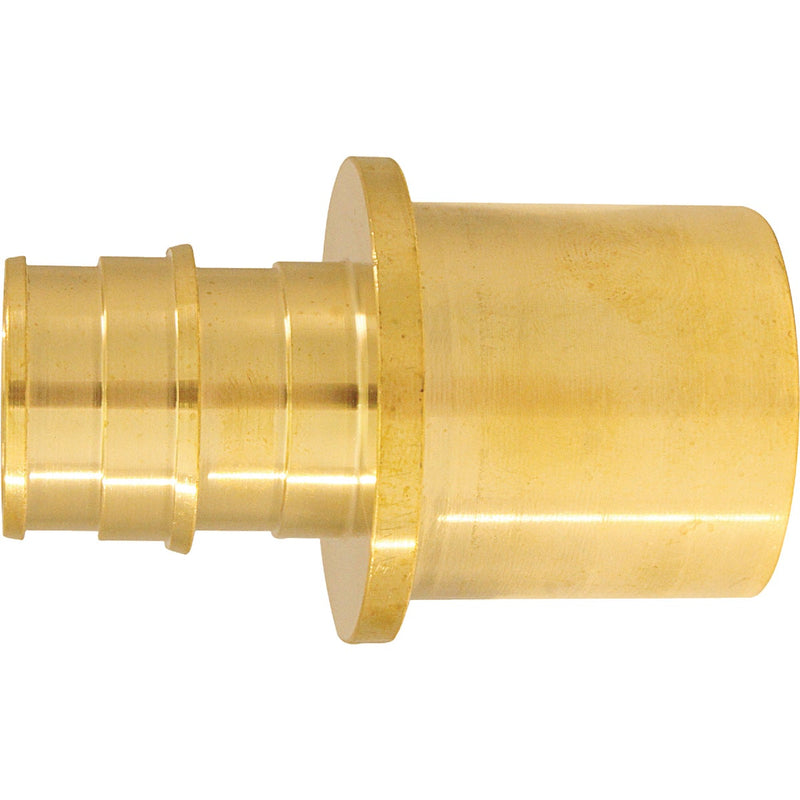Apollo Retail 3/4 In. x 1 In. Brass Insert Fitting MSWT PEX-A Adapter