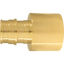 Apollo Retail 3/4 In. x 1 In. Brass Insert Fitting FSWT PEX-A Adapter