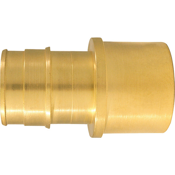 Apollo Retail 1 In. x 1 In. Brass Insert Fitting FSWT PEX-A Adapter