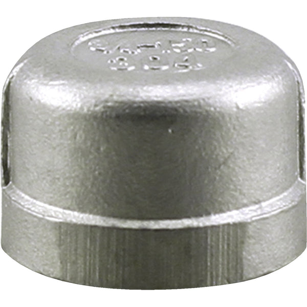 PLUMB-EEZE 1/2 In. FIP Stainless Steel Cap