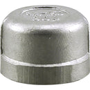 PLUMB-EEZE 1 In. FIP Stainless Steel Cap
