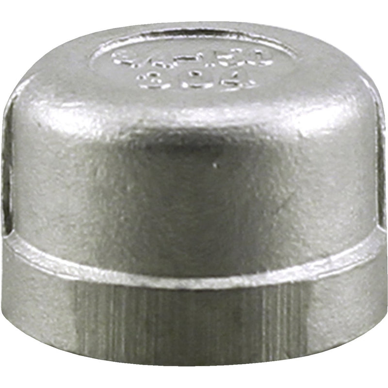 PLUMB-EEZE 1 In. FIP Stainless Steel Cap