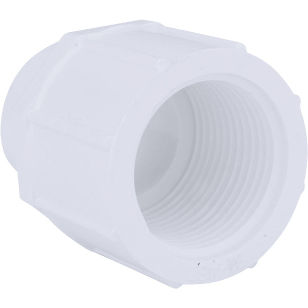 Charlotte Pipe 3/4 In. x 1/2 In. Schedule 40 Female PVC Adapter