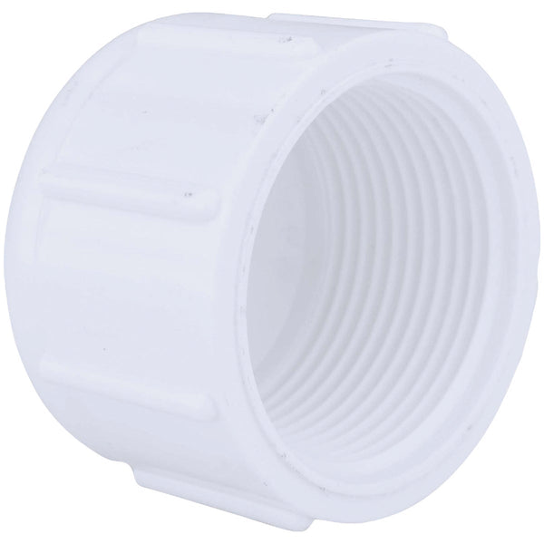 Charlotte Pipe 1-1/4 In. FIP Schedule 40 Threaded PVC Cap