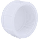 Charlotte Pipe 2 In. FIP Schedule 40 Threaded PVC Cap