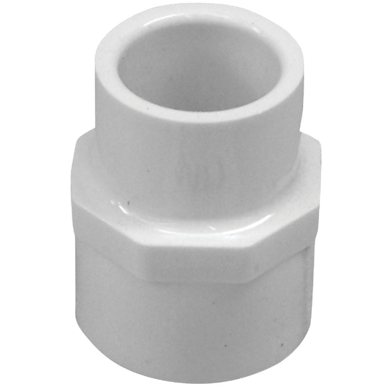 Charlotte Pipe 1/2 In. x 3/4 In. Schedule 40 Female PVC Adapter