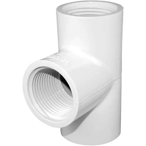 Charlotte Pipe 3/4 In. FIP Schedule 40 PVC Tee