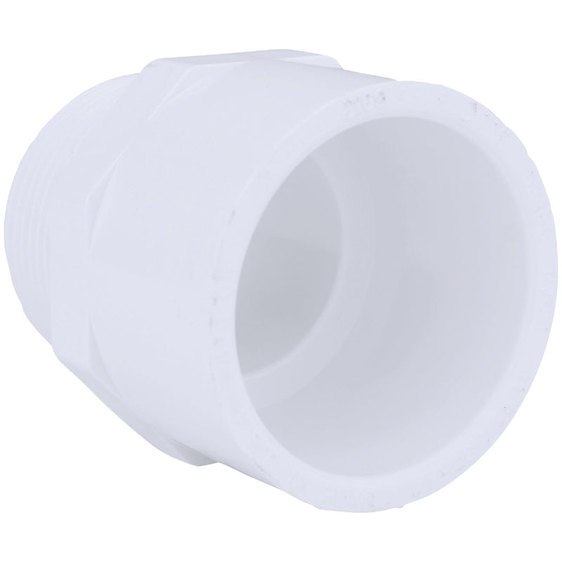 Charlotte Pipe 1-1/4 In. x 1-1/4 In. Schedule 40 Male PVC Adapter