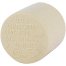 Charlotte Pipe 1/2 In. Slip Solvent Weld CPVC Cap