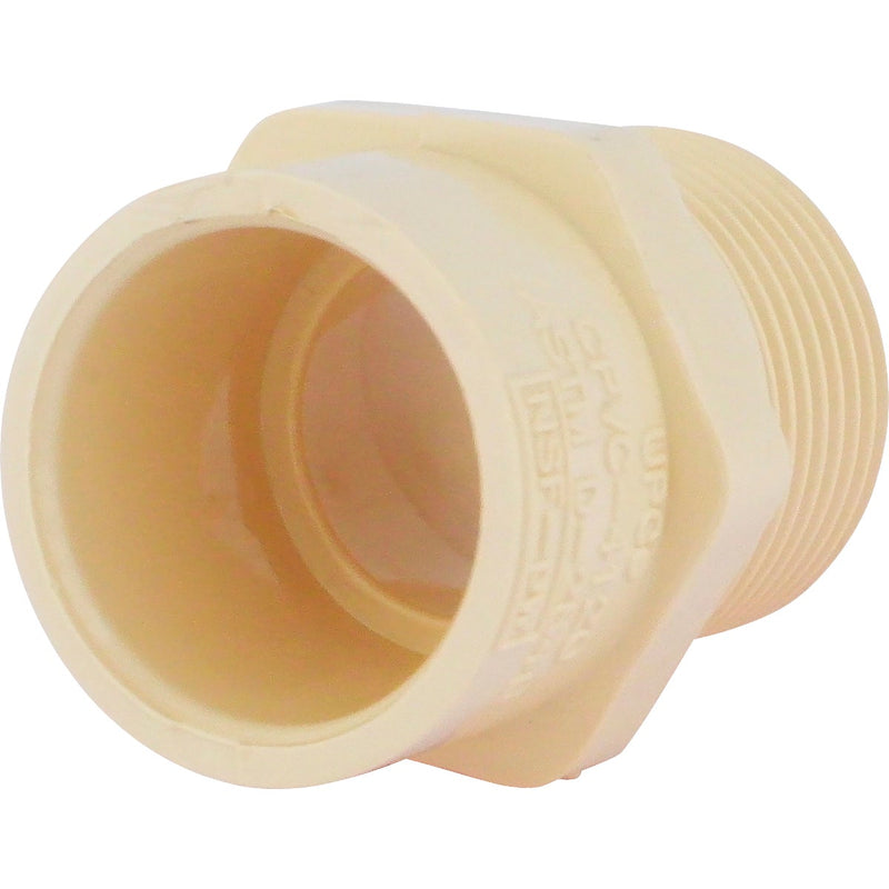 Charlotte Pipe 3/4 In. Male Thread to CPVC Adapter