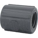 Charlotte Pipe 1/2 In. FIP x FIP PVC Coupling