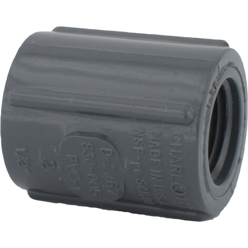 Charlotte Pipe 1/2 In. FIP x FIP PVC Coupling