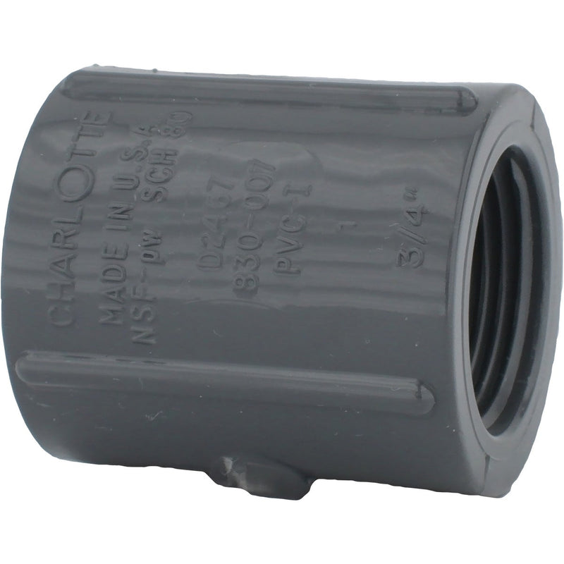 Charlotte Pipe 3/4 In. FIP x FIP PVC Coupling