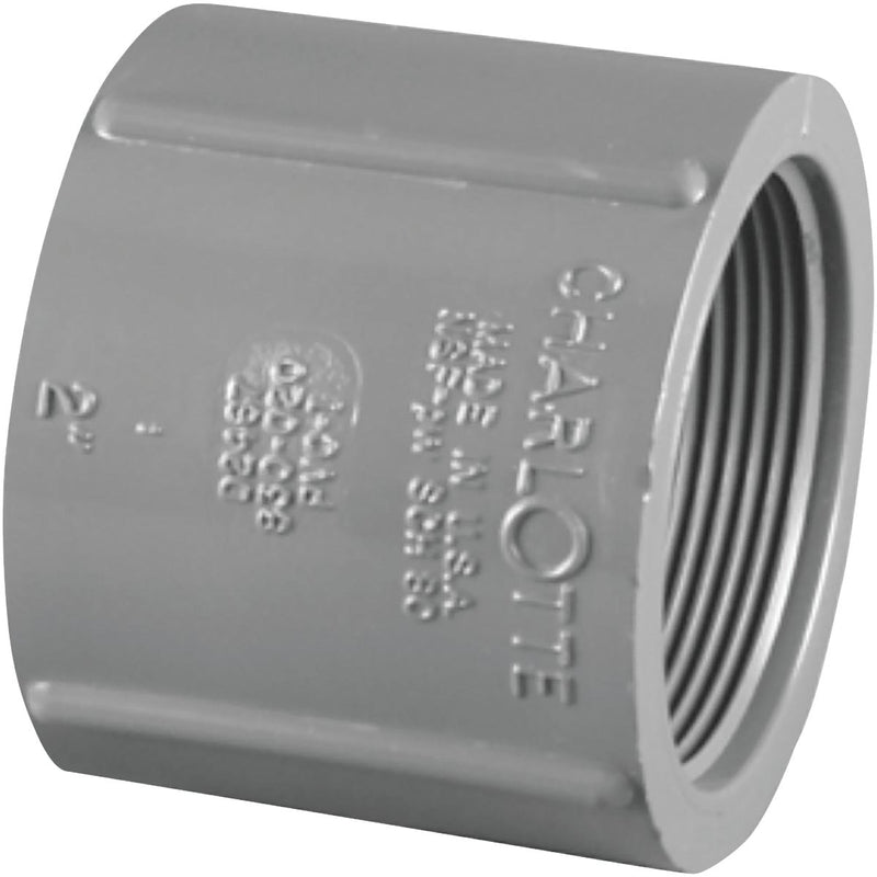 Charlotte Pipe 1-1/4 In. FIP x FIP PVC Coupling