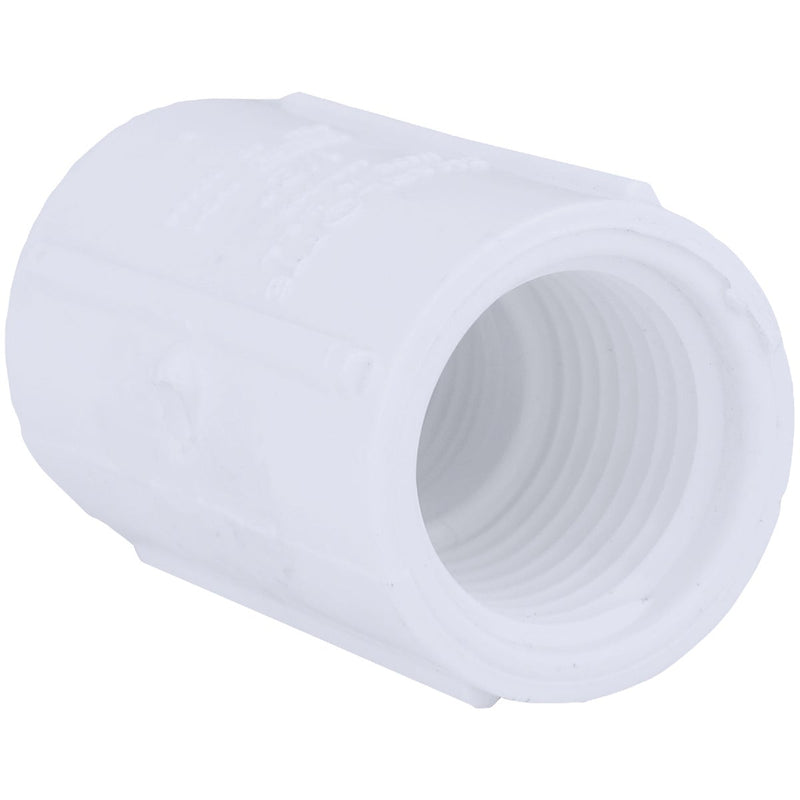 Charlotte Pipe 1/2 In. FIP Sch. 40 Threaded PVC Coupling