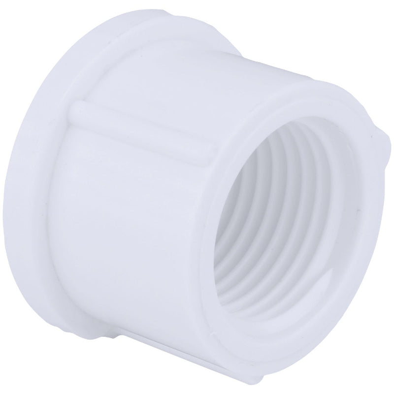 Charlotte Pipe 1/2 In. FIP Schedule 40 Threaded PVC Cap